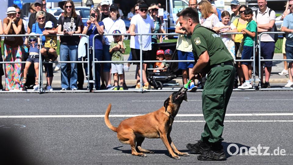 Hundeführer zeigten mit ihren Hunden ihr Können. Bild: Felix Hörhager/dpa