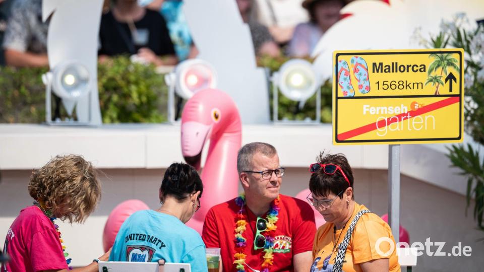 Mallorca ist weit - und doch so nah. Bild: Hannes P. Albert/dpa