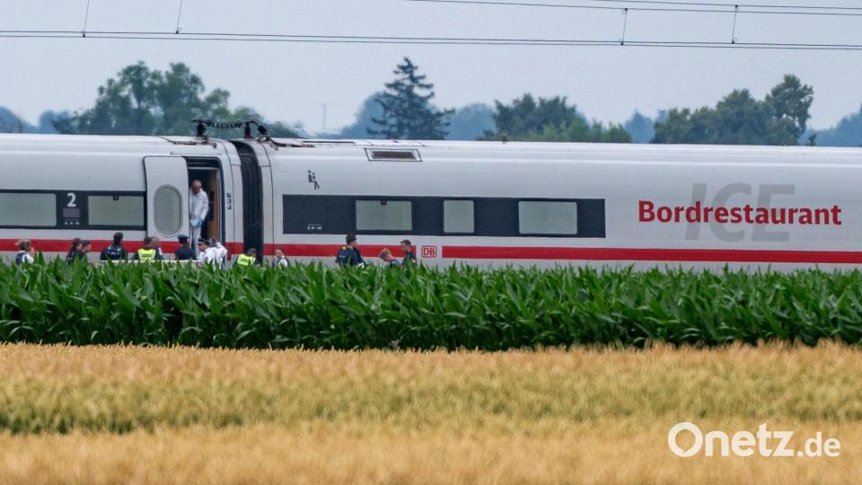 Ein Jahr nach dem Axtangriff in einem ICE in Niederbayern ist das Urteil gegen den Beschuldigten gesprochen worden. (Archivbild) Bild: Armin Weigel/dpa