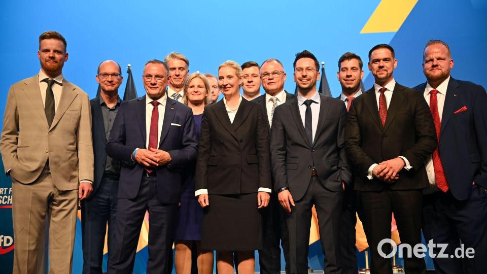 Der erst Anfang Juli neugewählte AfD-Bundesvorstand. Parteichefin Alice Weidel konnte dabei ihre Kandidaten durchsetzen. (Archivbild) Bild: Katharina Kausche/dpa