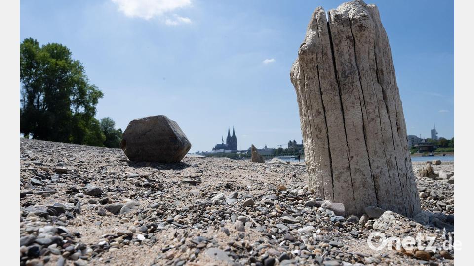 Ausgetrocknet: Bei Niedrigwasser liegen weite Teile des Flussgrundes vom Rhein in Köln frei. Bild: Boris Roessler/dpa