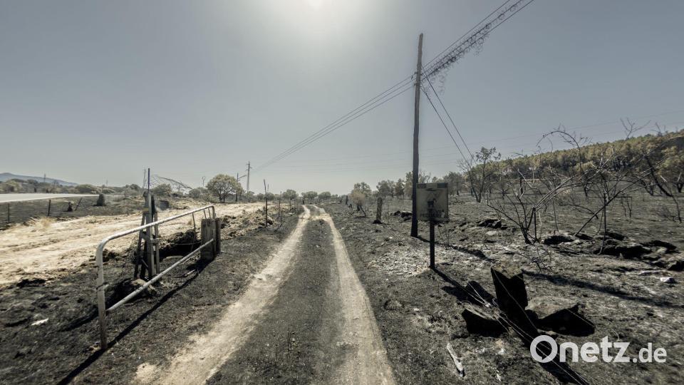Das Feuer wütet seit Donnerstag. Bild: Ricardo Rubio/Europa Press/dpa