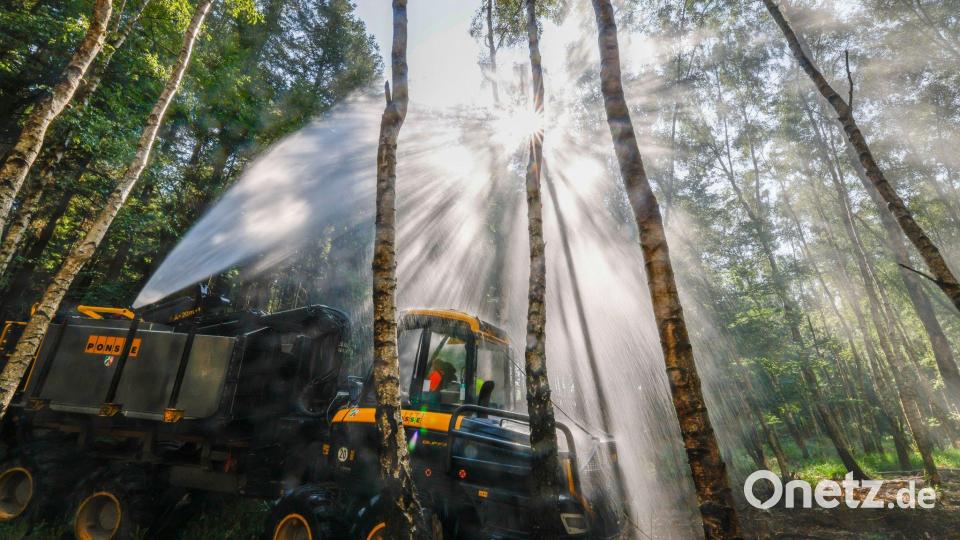 Gerüstet für den Ernstfall: Das Speziallöschfahrzeug FireFighter fährt durch schwieriges Gelände im Wald bei Roetgen. Es ist besonders geländegängig und ausgestattet mit einem 10.000-Liter-Löschwassertank. Bild: Thomas Banneyer/dpa
