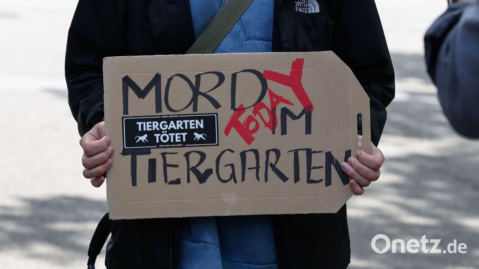 Aktivistinnen und Aktivisten versammelten sich am 29. Juli 2025 vor dem geschlossenen Tiergarten, um gegen die Tötung der Paviane zu demonstrieren. Einige drangen später in den Zoo ein. (Archivbild) Bild: Daniel Löb/dpa