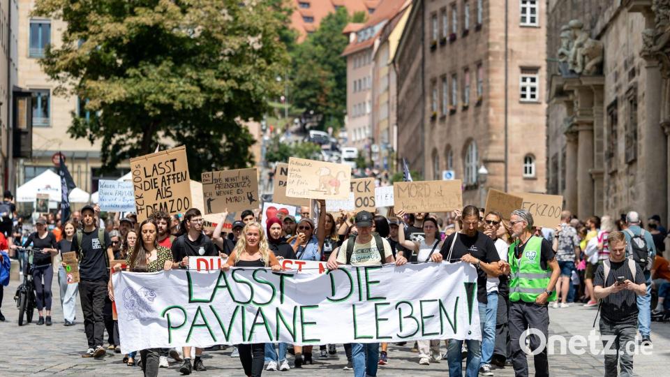 Tierschützerinnen und Tierschützer protestierten im vergangenen Jahr wiederholt gegen die Pläne des Tiergartens, einzelne Paviane aus Platzmangel zu töten. (Archivbild) Bild: Daniel Karmann/dpa