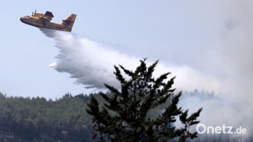 Frankreich kämpft derzeit gegen die umfangreichsten Waldbrände seit dem Zweiten Weltkrieg (Archivbild). Bild: Thibaud Moritz/AFP/dpa