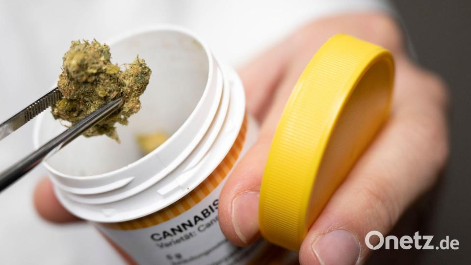 Bei Cannabis auf Rezept ist meist viel mehr Wirkstoff enthalten als bei Cannabis im Straßenhandel. (Archivbild) Bild: Boris Roessler/dpa