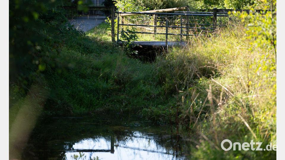 Idyllisch wirkt die Umgebung - aber hier lag der Koffer mit der Leiche, unbemerkt für Wochen. Bild: Markus Lenhardt/dpa