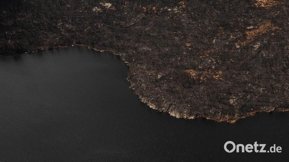 Auf diesem Luftbild sind die durch Waldbrände verursachten Schäden in der unmittelbaren Umgebung der Collins First Nation zu sehen, einer kleinen, abgelegenen Ojibwa-Gemeinde im Nordwesten von Ontario, etwa 250 Kilometer nördlich von Thunder Bay in Kanada. Bild: Chris Young/The Canadian Press/dpa