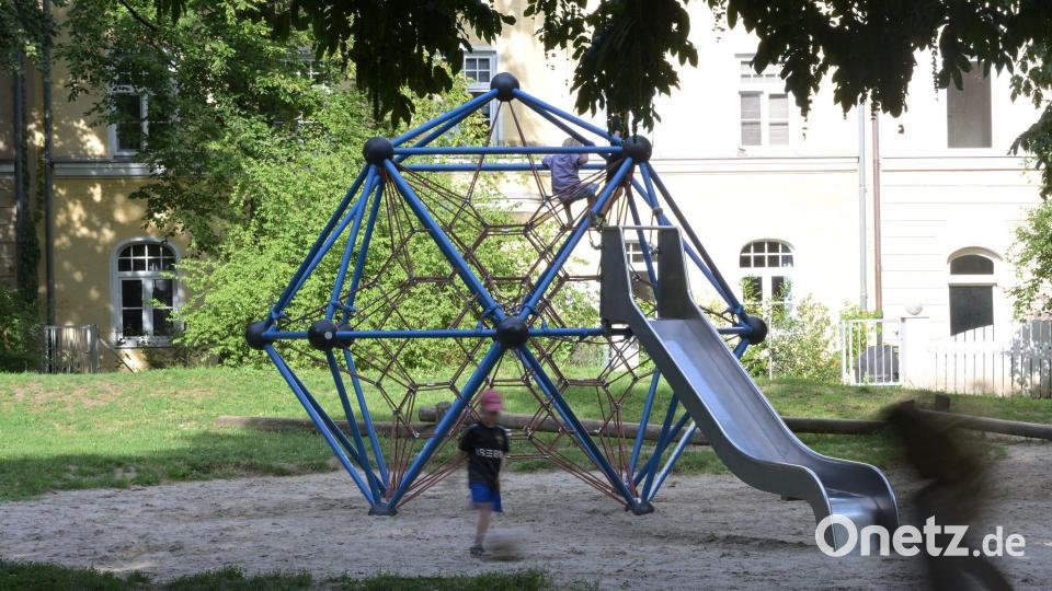Hohe Bäume spenden Schatten und kühlen über Verdunstung die Umgebung. Bild: Malin Wunderlich/dpa