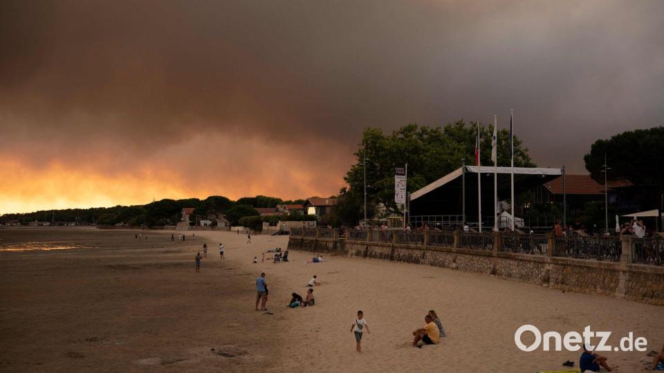 Für Tausende Touristen ist der Urlaub wegen der Waldbrände zunächst mal zu Ende. Bild: Olivier Morin/AFP/dpa