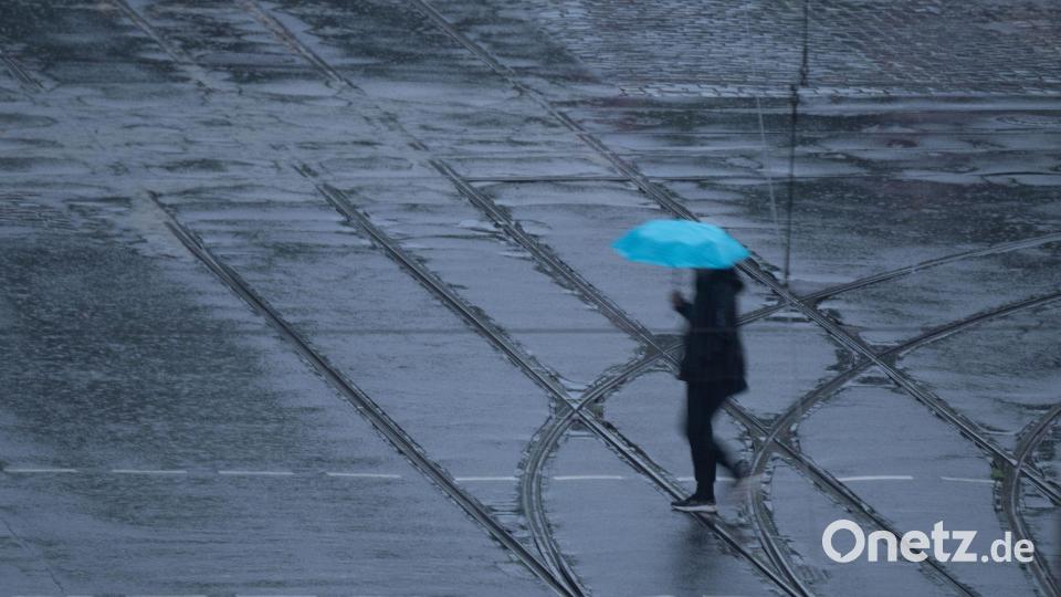 Eine Person geht bei Regen mit einem blauen Regenschirm über eine Straße in Dresden. Bild: Katharina Kausche/dpa