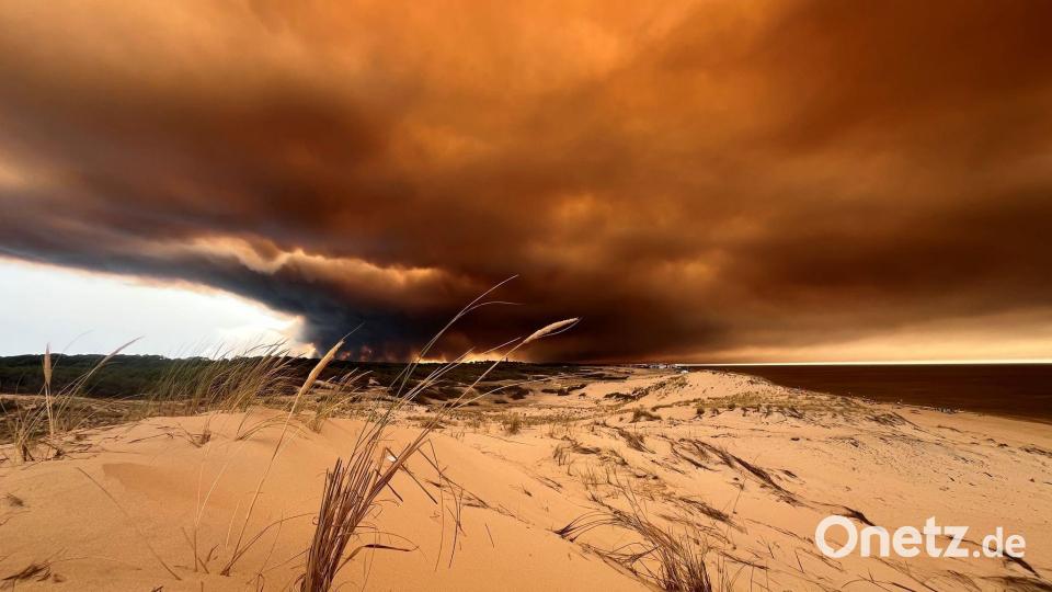 Waldbrände verdunkeln den Himmel über Lacanau-Océan Bild: Jan Athmann/dpa