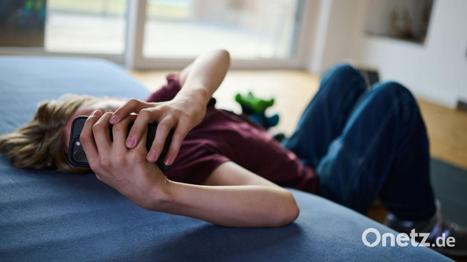 Die EU-Kommission warf zuletzt diversen großen Online-Plattformen mangelnden Kinder- und Jugendschutz vor. (Symbolbild) Bild: Annette Riedl/dpa
