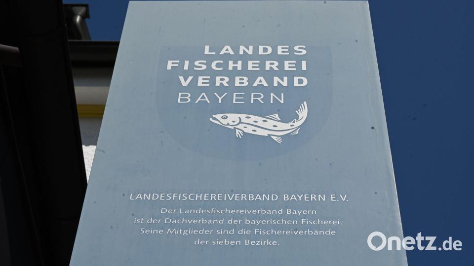 Die Präsidenten der Bezirksverbände des Landesfischereiverbandes wollen den amtierenden Präsidenten abberufen. Bild: Florian Diettrich/dpa