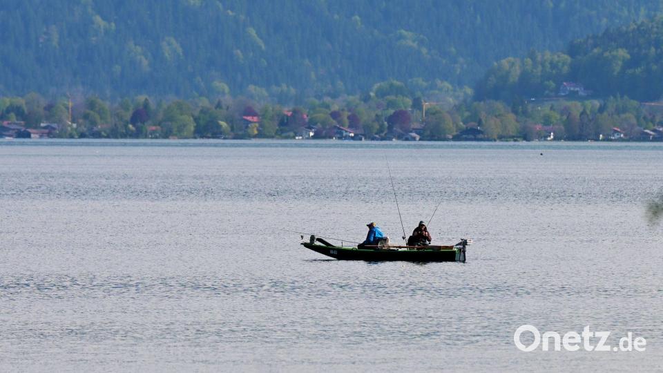 Fischen kann so friedlich sein - im Verband kracht es derzeit aber. (Archivbild) Bild: Malin Wunderlich/dpa