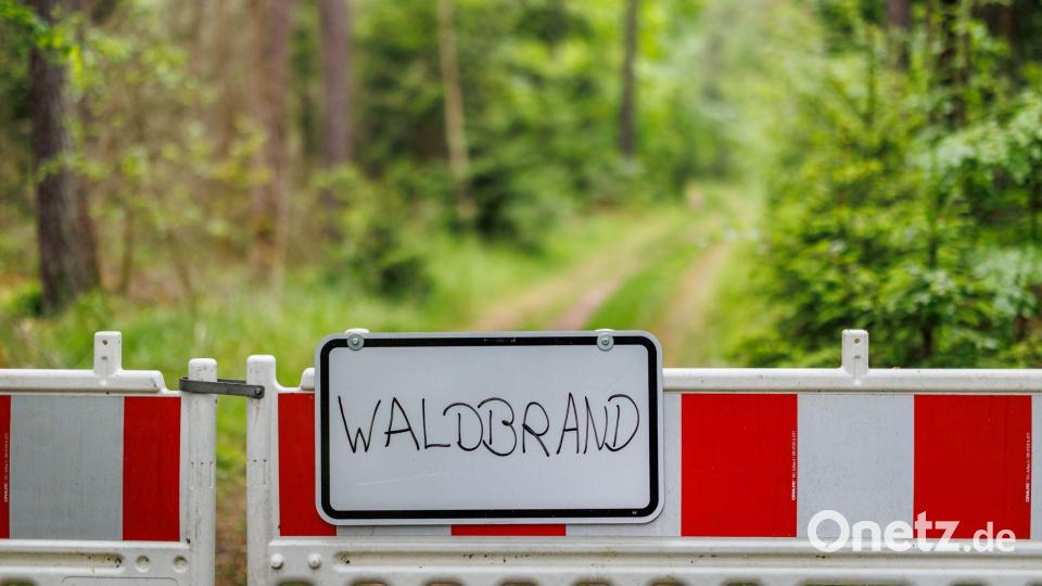 Waldbrände beschäftigen die bayerischen Feuerwehren. (Archivbild) Bild: Daniel Karmann/dpa
