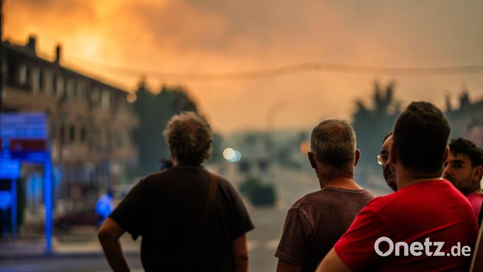 Besonders verheerend waren in Spanien die Feuer in der Umgebung von Madrid sowie in den benachbarten Provinzen Ávila und Toledo. Bild: César Vallejo Rodríguez/EUROPA PRESS/dpa