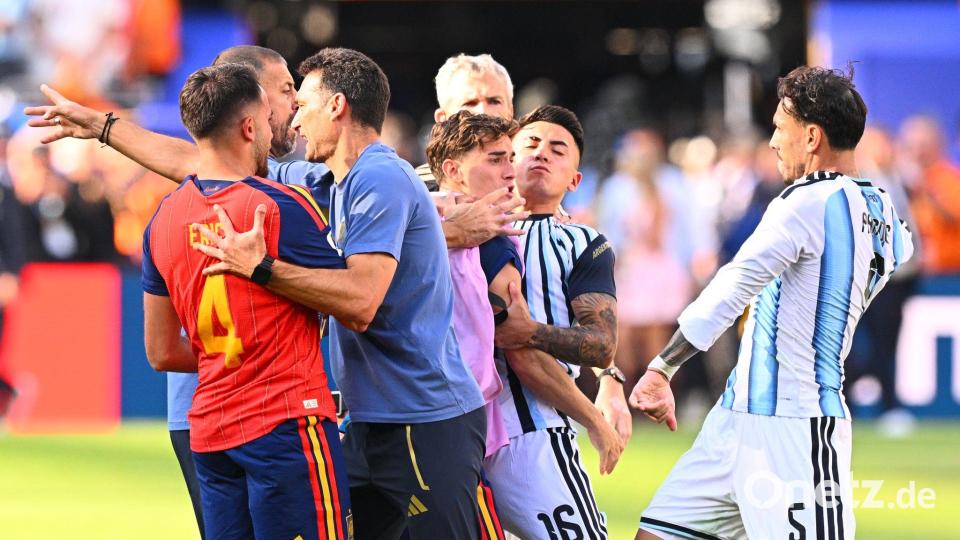 Im WM-Finale zwischen Spanien und Argentinien ging es hoch her. (Archivbild) Bild: Tom Weller/dpa