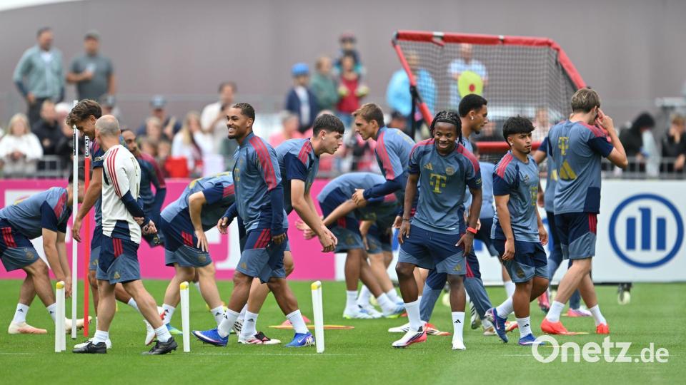 Noch fehlen die DFB-Stars beim Bayern-Training. Bild: Peter Kneffel/dpa