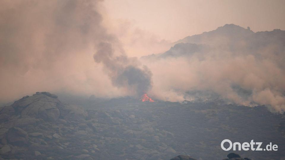 Die wesentliche Gesundheitsgefährdung bei einem Waldbrand entsteht durch die Feinstaubbelastung, sagt das Umweltbundesamt. Bild: Alberto Ortega/EUROPA PRESS/dpa