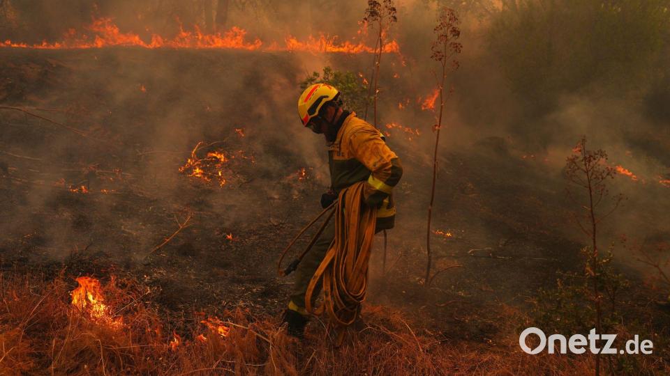 Die Brände in Spanien und Frankreich ... Bild: Manu Fernandez/AP/dpa