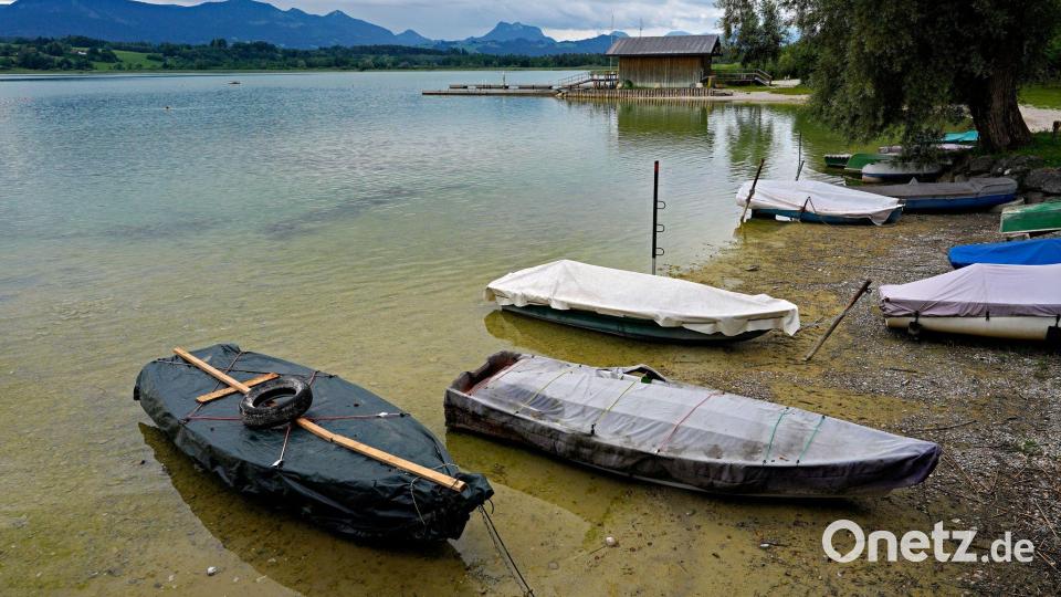 Auch die Gewässer dürften wieder wärmer werden. (Archivbild) Bild: Uwe Lein/dpa