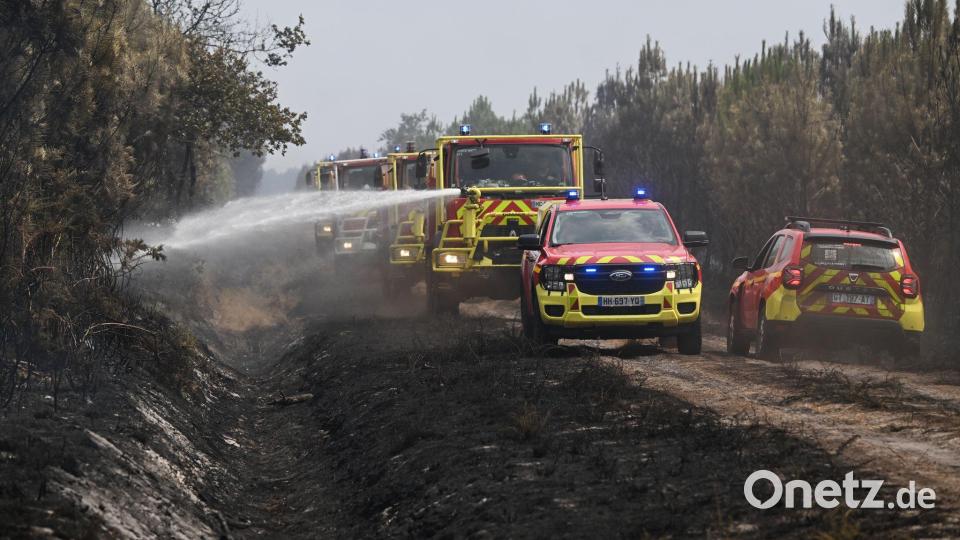 Nur auf Feuer zu reagieren, reiche nicht, sagen Fachleute vom Wissenschaftsnetzwerk EASAC. Bild: Emma Da Silva/AP/dpa