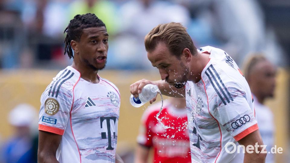 Sollen noch lange zusammen für den FC Bayern wirbeln: Olise und Kane. (Archivbild) Bild: Sven Hoppe/dpa