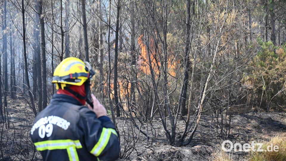 Die Feuerwehr kämpft gegen eine Reihe wiederaufflammender Brände. Bild: Katharina Kausche/dpa