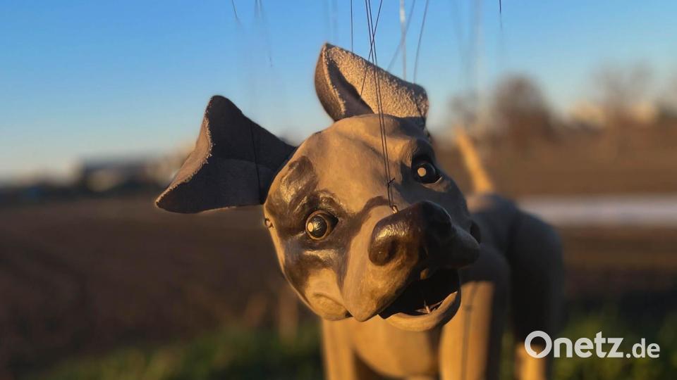 Der Oberpfalz Underdog bei seinem ersten Einsatz: Mit Spürsinn, Charme und bewegten Fäden unterwegs auf Entdeckungstour durch die Region. Bild: Scarlett Isabella Köfner