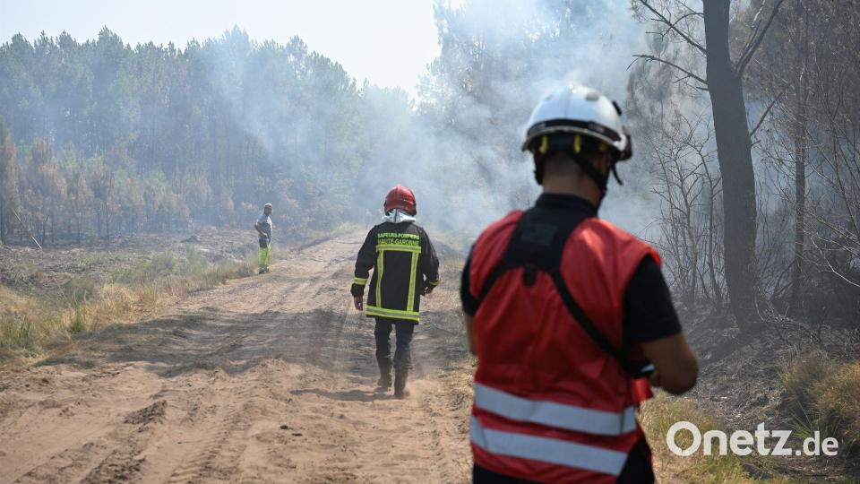 Weiterhin seien 2.750 Feuerwehrleute, 23 Löschflugzeuge und über 1.400 Polizeikräfte im Einsatz, sagte die Präfektin. Bild: Katharina Kausche/dpa
