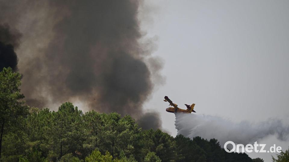 23 Löschflugzeuge sind in der Waldbrandregion im Einsatz. Bild: Emma Da Silva/AP/dpa