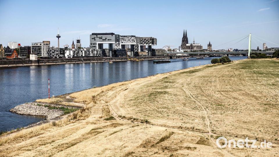 Niedrigwasser am Rhein in Köln Bild: Oliver Berg/dpa