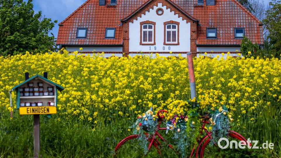 Nummer sicher: Ferienhaus an der Ostsee. (Archivbild) Bild: Jens Büttner/dpa