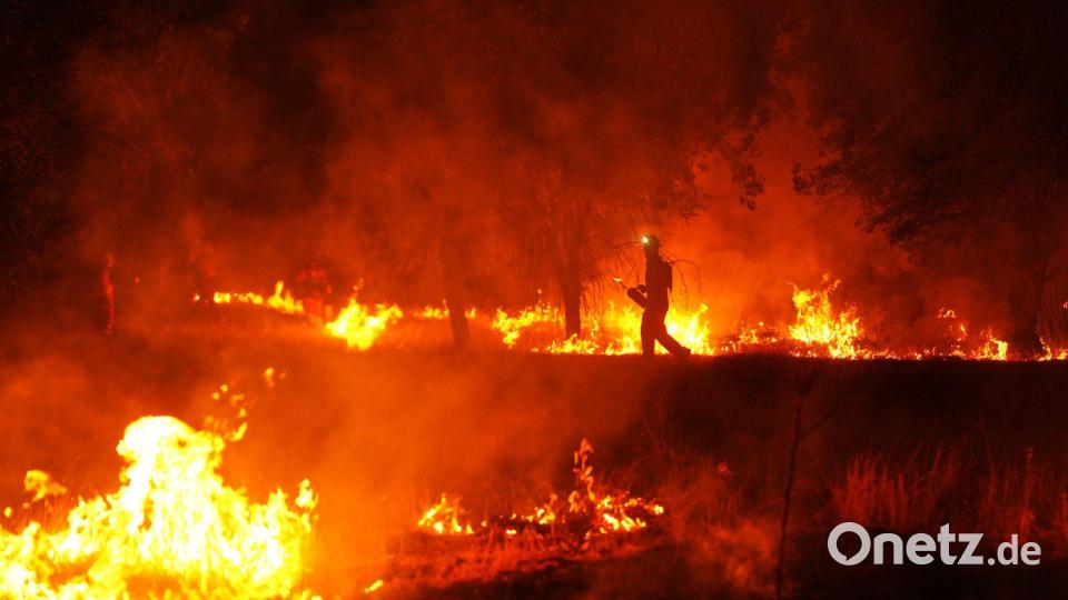 Kontrolliertes Feuer soll Waldbrand bei Cebreros eindämmen Bild: Manu Fernandez/AP/dpa