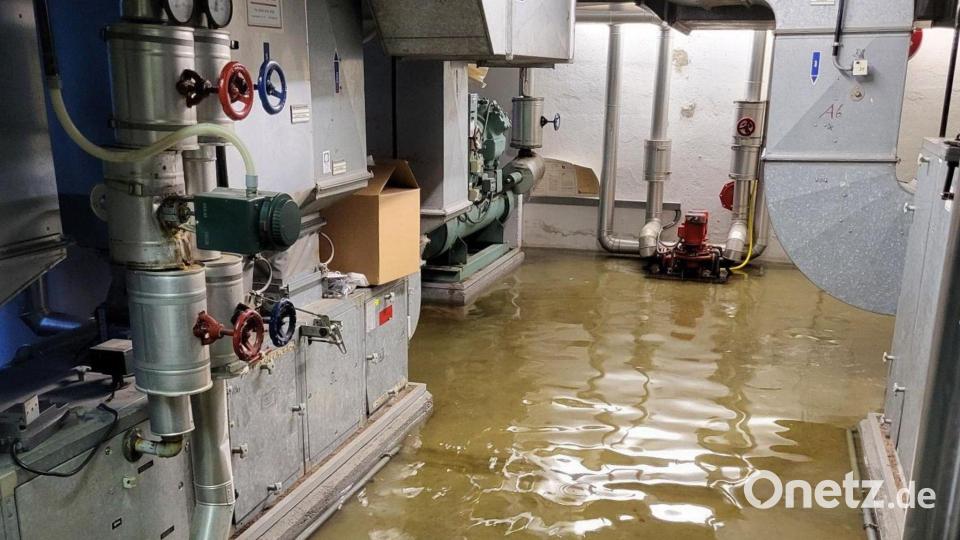 Das Wasser pumpten die Unbekannten aus einem Teich in einen Kellerschacht. Bild: Landratsamt Deggendorf/dpa