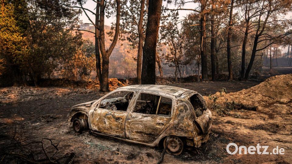Die Waldbrände haben in Spanien große Verwüstung hinterlassen. Bild: Olmo Calvo/AP/dpa