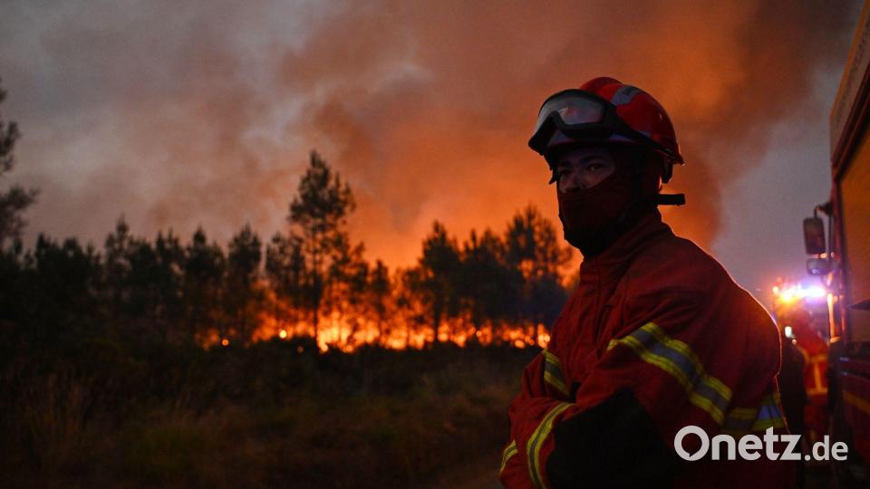 Feuerwehrleute bekämpfen während der Waldbrände im Südwesten Frankreichs einen Brand außerhalb von Lanton. Bild: Emma Da Silva/AP/dpa