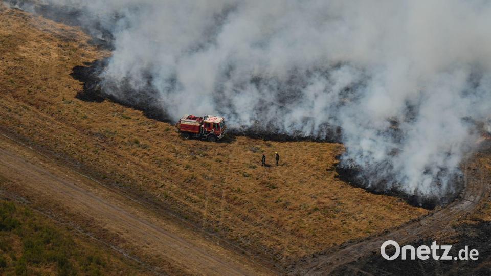 Der Klimawandel führt Fachleuten zufolge dazu, dass brandfördernde Bedingungen häufiger auftreten. Bild: Baz Ratner/Pool AP/dpa