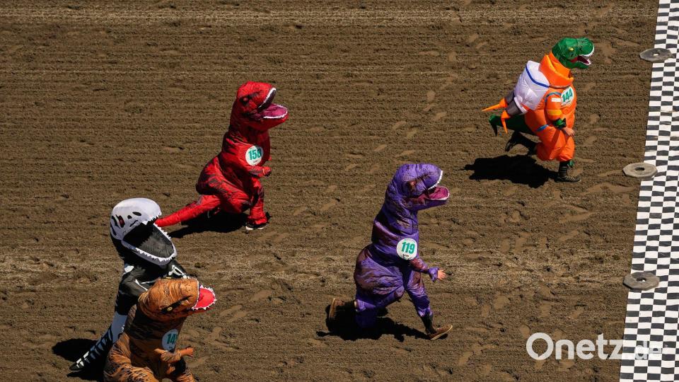 Auburn (USA): T‑Rex im Endspurt – Dino-Kostüme jagen in Emerald Downs zur Ziellinie Bild: Lindsey Wasson/AP/dpa