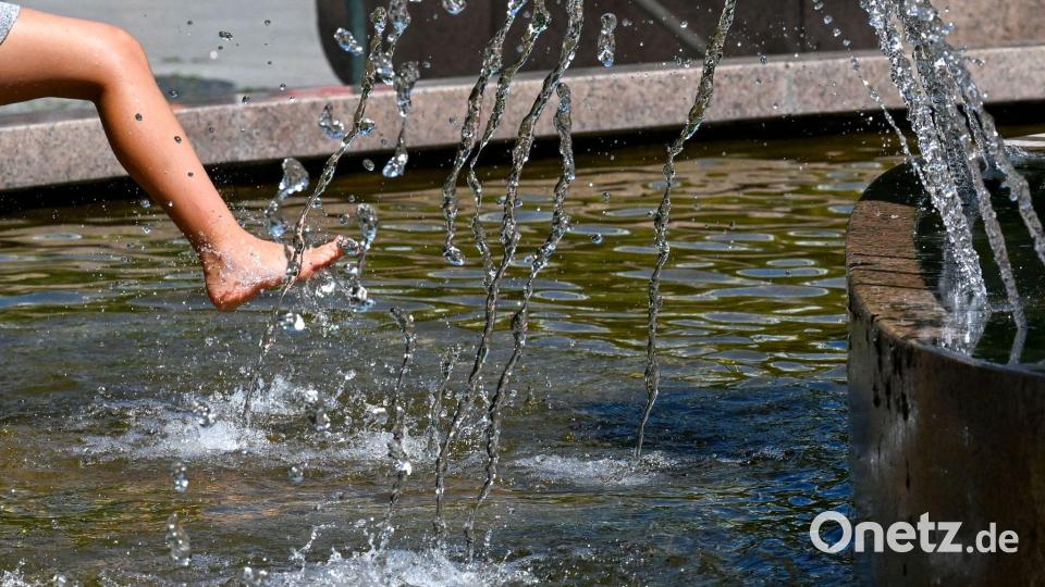 Abkühlung am Wasserklops Bild: Jens Kalaene/dpa