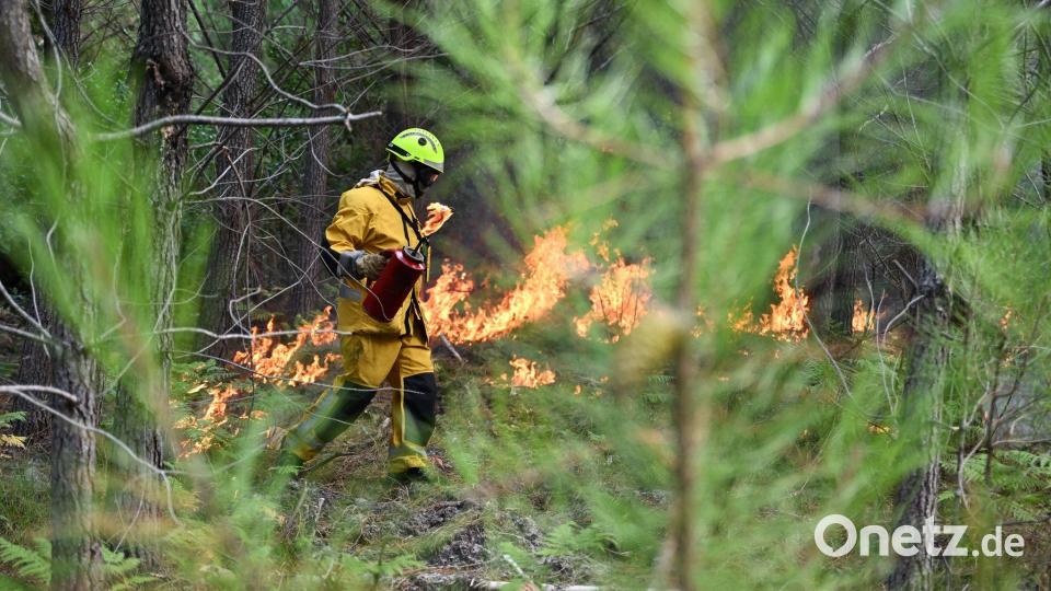 In der Waldbrandregion an der französischen Atlantikküste gibt es ein vorsichtiges Aufatmen für Einsatzkräfte und Bevölkerung. Bild: Emma Da Silva/AP/dpa