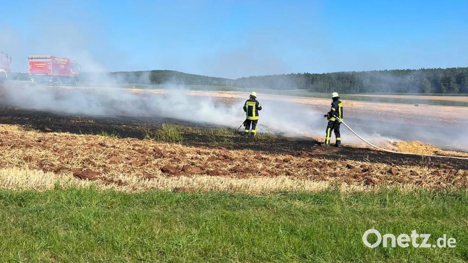 Vegetationsbrände im Landkreis Amberg-Sulzbach halten die Feuerwehren auf Trab. Bild: KBM Michael Werner