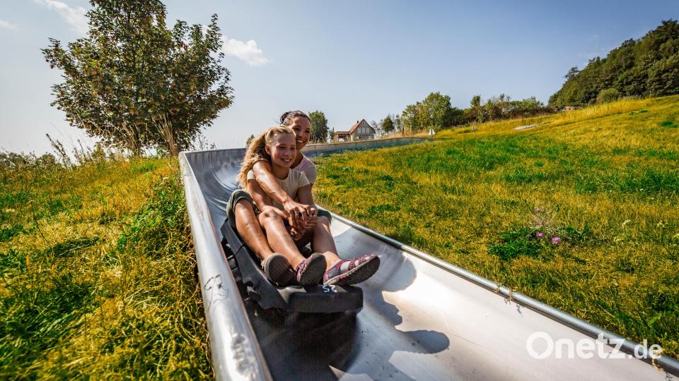 Rodeln im Sommer? Das geht auf dem Freizeithugl bei Mitterteich. Bild: Oberpfälzer Wald, Thomas Kujat