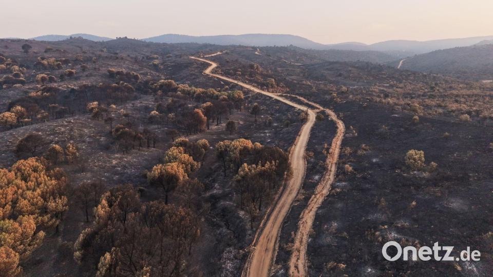 Diese vierte Hitzewelle des Sommers in Spanien soll bis Sonntag anhalten. Bild: Manu Fernandez/AP/dpa