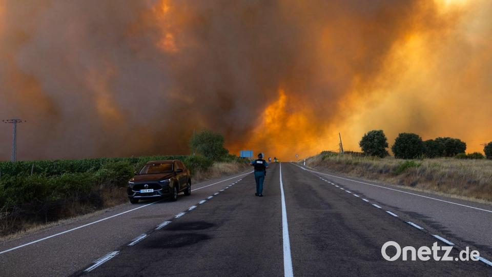 Dichter Rauch ist während eines Waldbrandes am Rande einer Landstraße bei Fermoselle in Spanien zu sehen. Bild: Paloma V. Escarpa/EUROPA PRESS/dpa