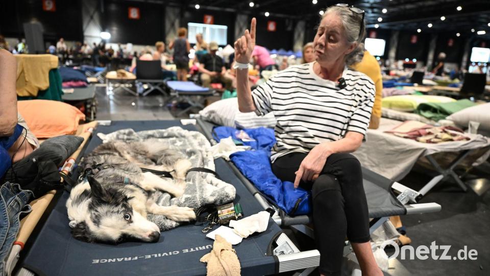 Karine Soulard ist sich sicher, dass auch ihre Hündin Simba von der Evakuierung erschöpft ist. Bild: Katharina Kausche/dpa