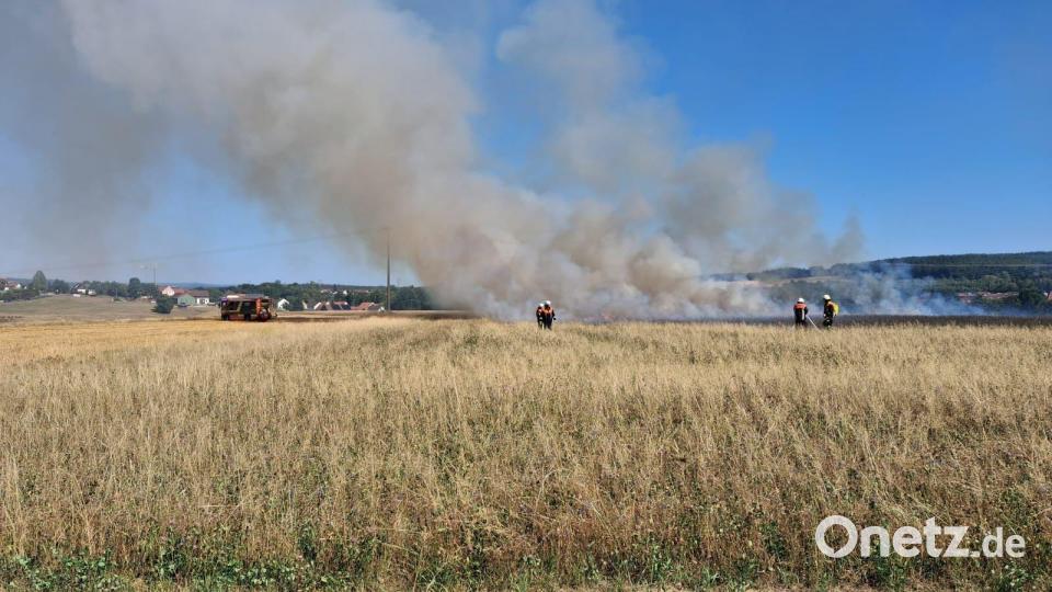 Vegetationsbrände im Landkreis Amberg-Sulzbach sorgen wie h9ier in Schnaittenbach für einen Dauereinsatz der Feuerwehren. Bild: KBM Michael Werner