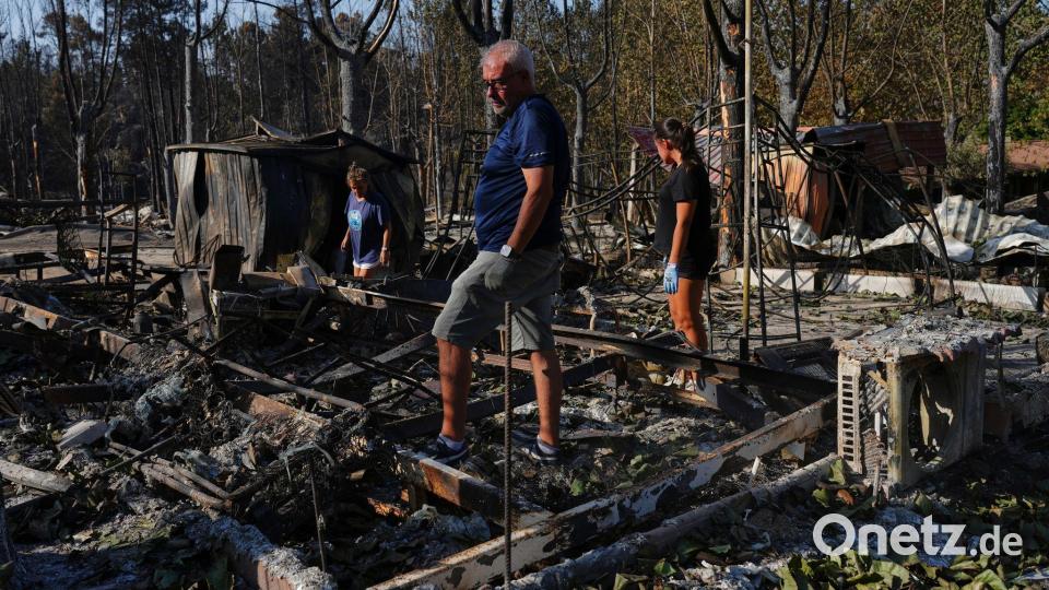 Die Waldbrände haben in Spanien schwere Schäden angerichtet. Bild: Manu Fernandez/AP/dpa